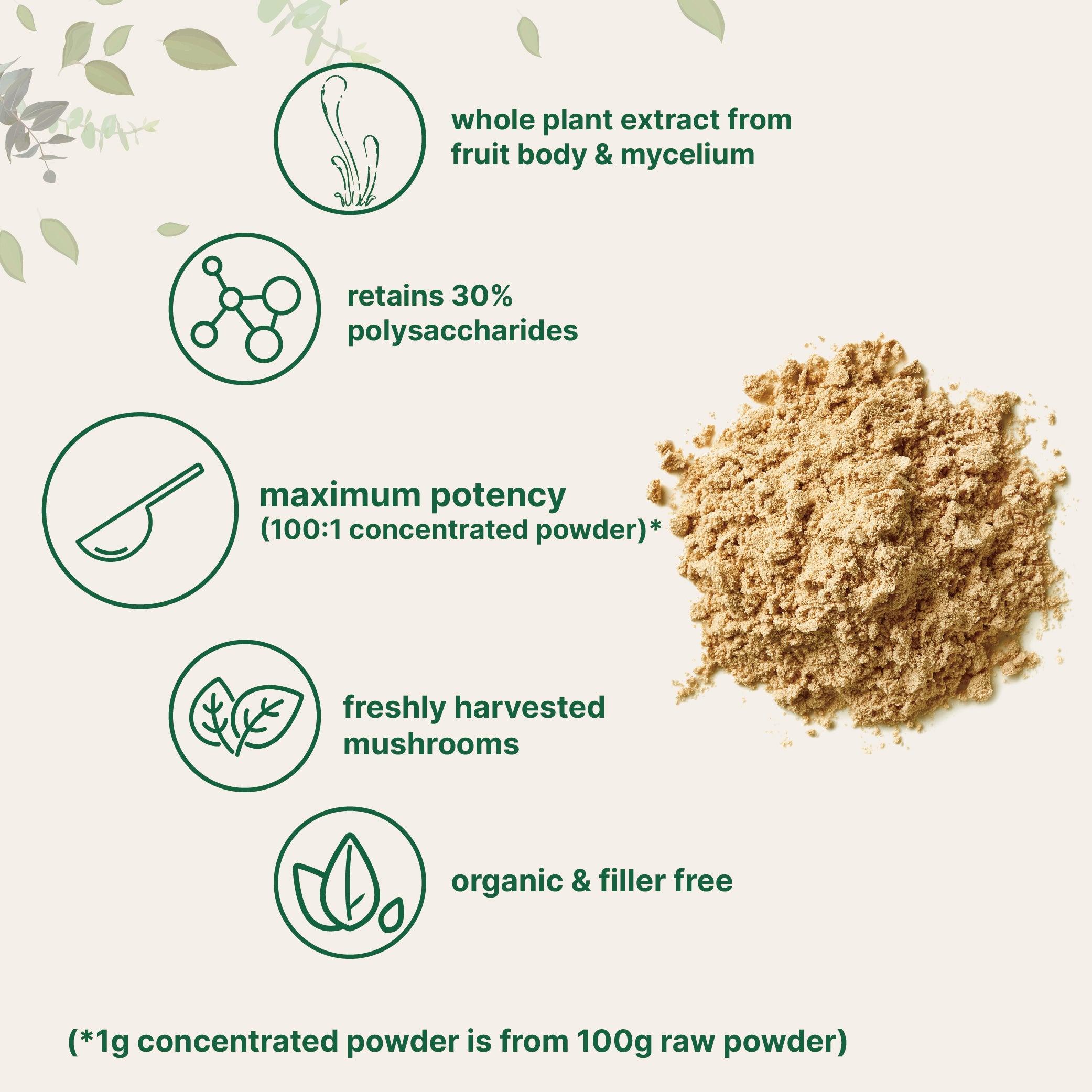 Micro Ingredients Organic Cordyceps Mushroom Extract Powder, 8 Ounces