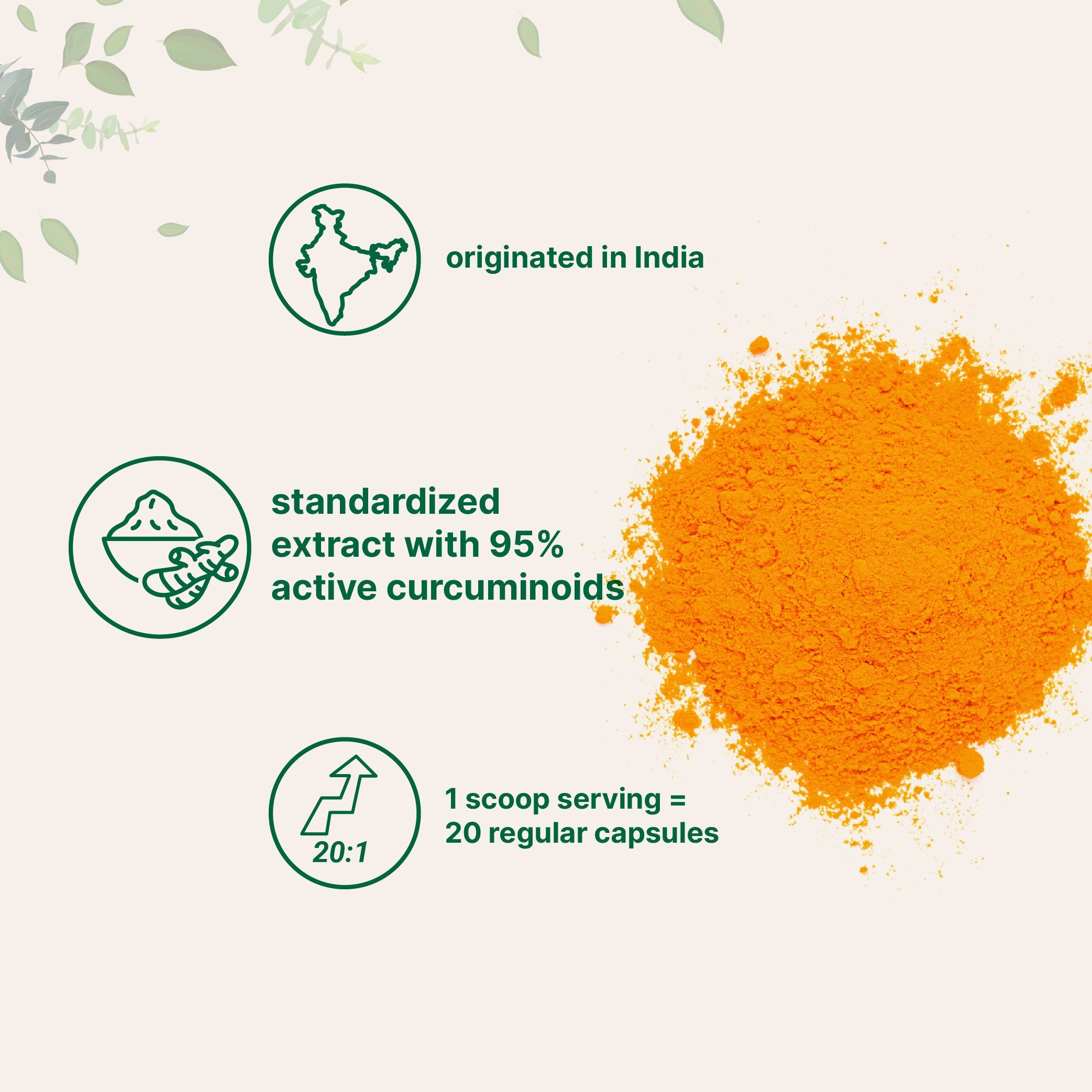 Micro Ingredients Turmeric Curcumin Powder 100g