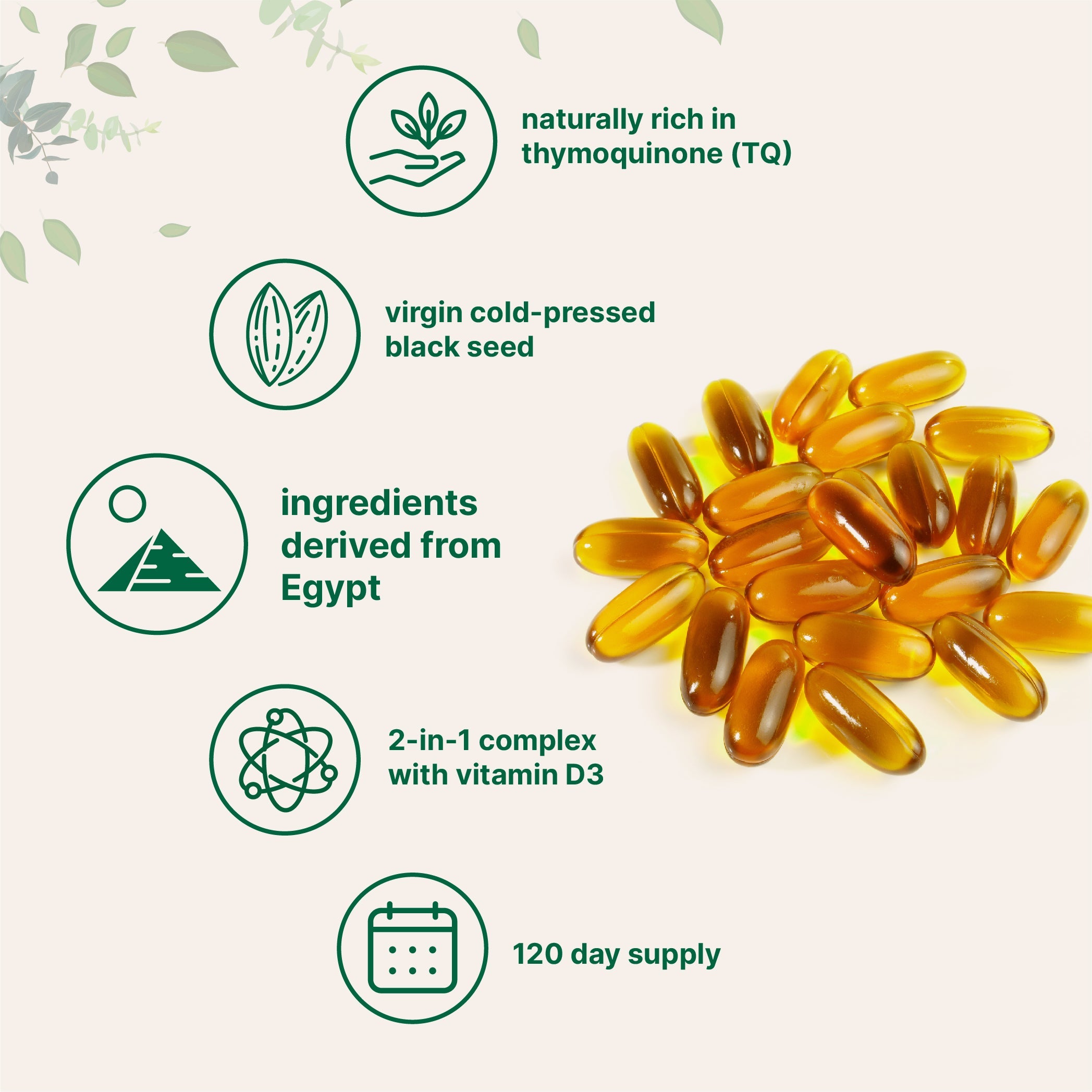 Micro Ingredients Black Seed Oil with Vitamin D3, 240 softgels