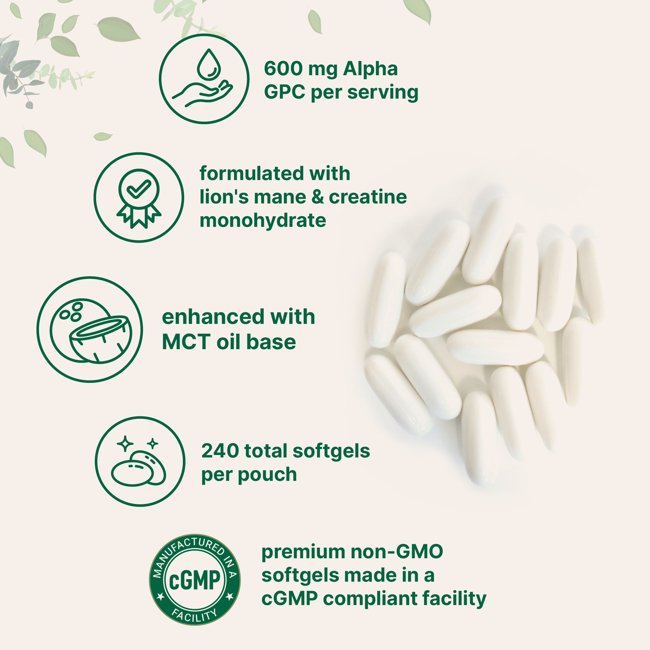 Micro Ingredients Alpha GPC 600mg with MCT Oil, 240 Softgels