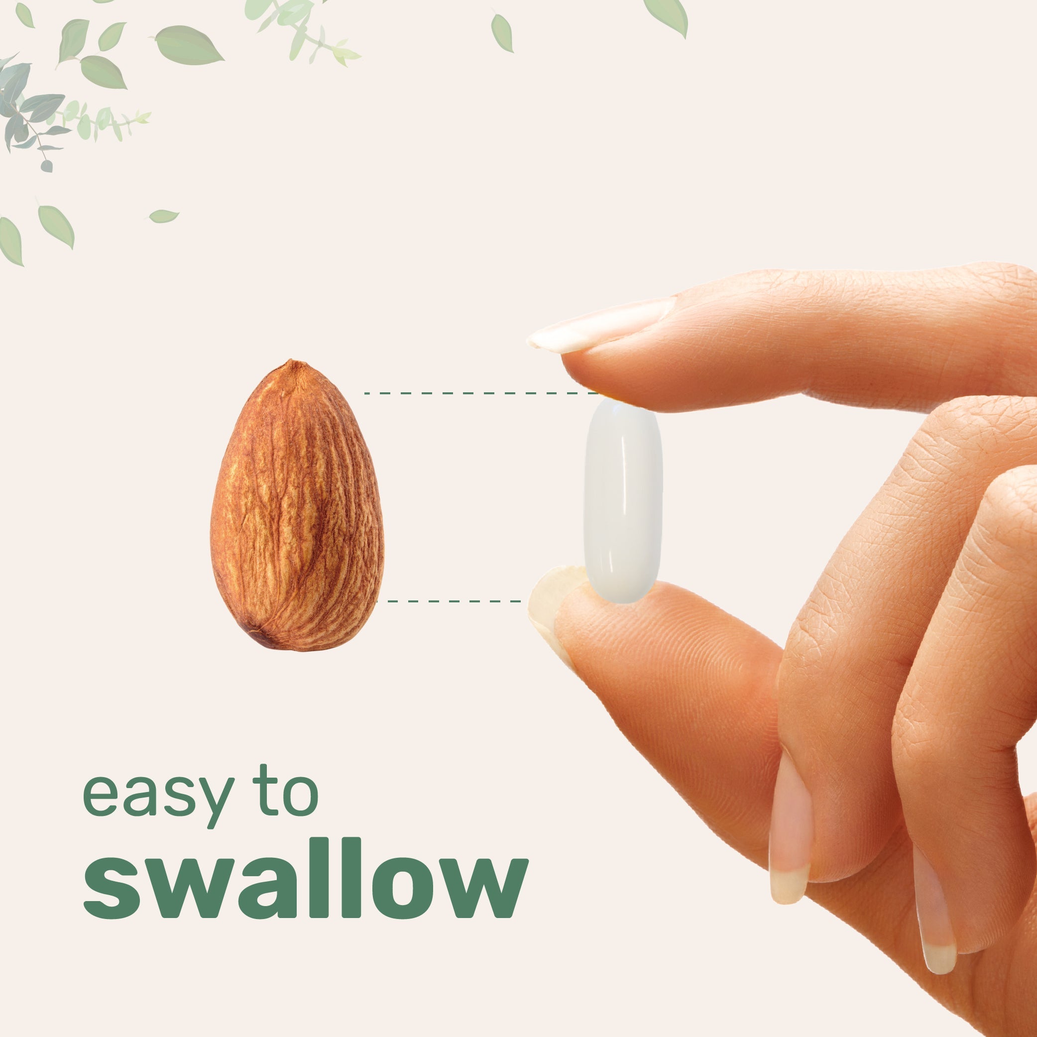 Micro Ingredients Alpha GPC 600mg with MCT Oil, 240 Softgels