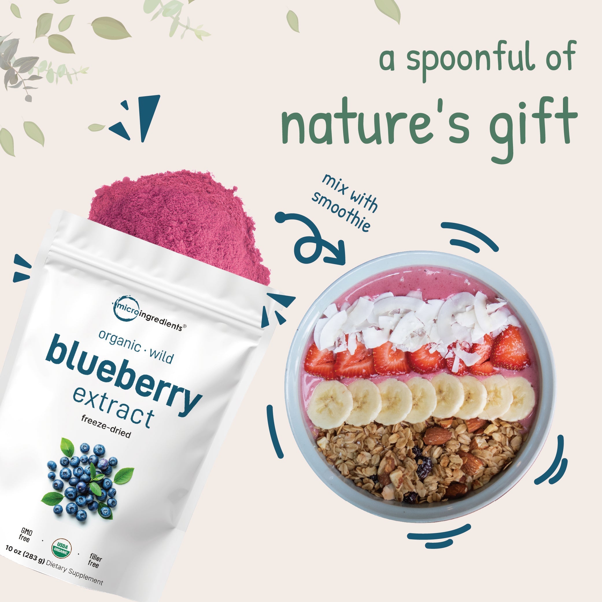 Micro Ingredients Organic Blueberry Extract Powder, 10oz