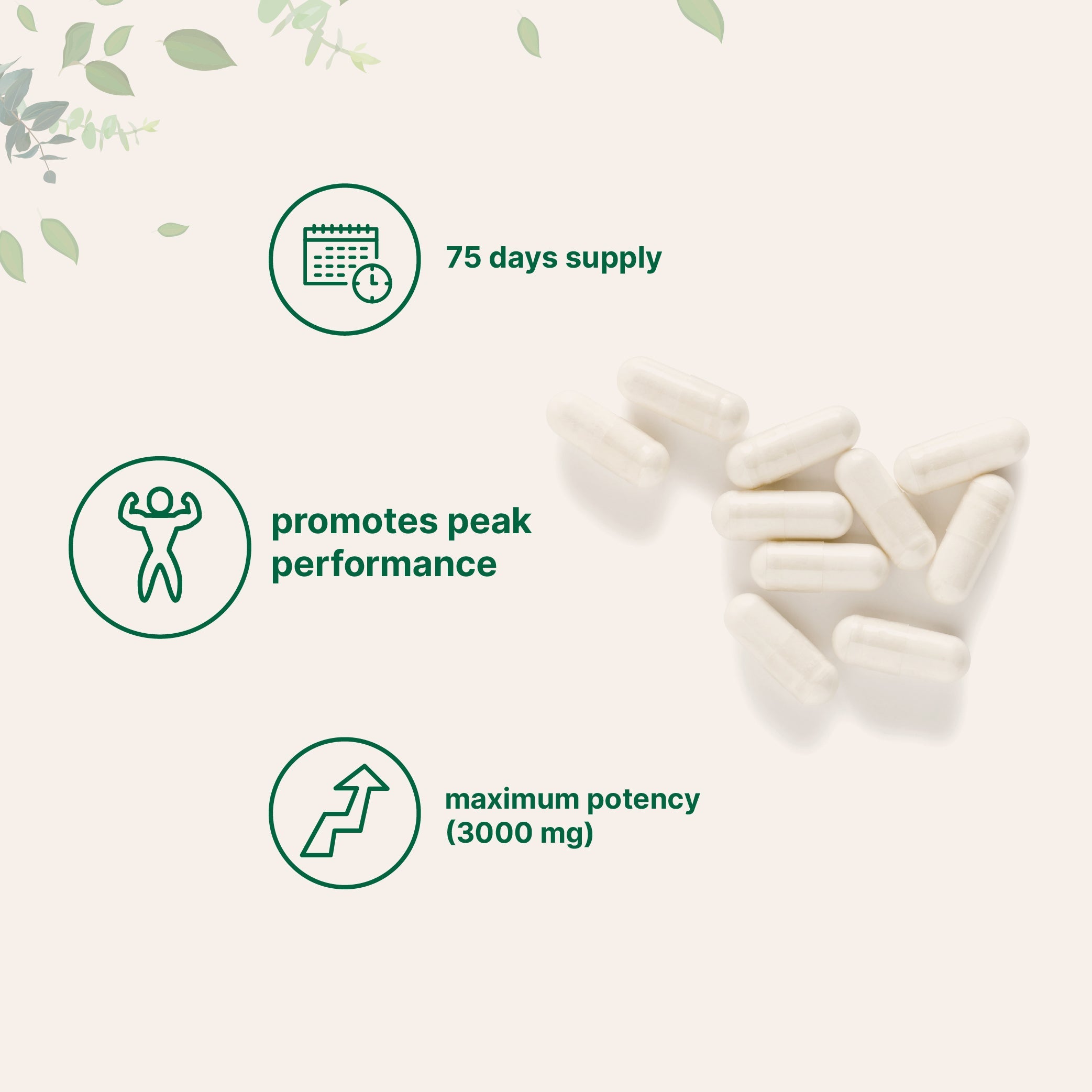 Micro Ingredients D-Aspartic Acid DAA Capsules, 300 counts