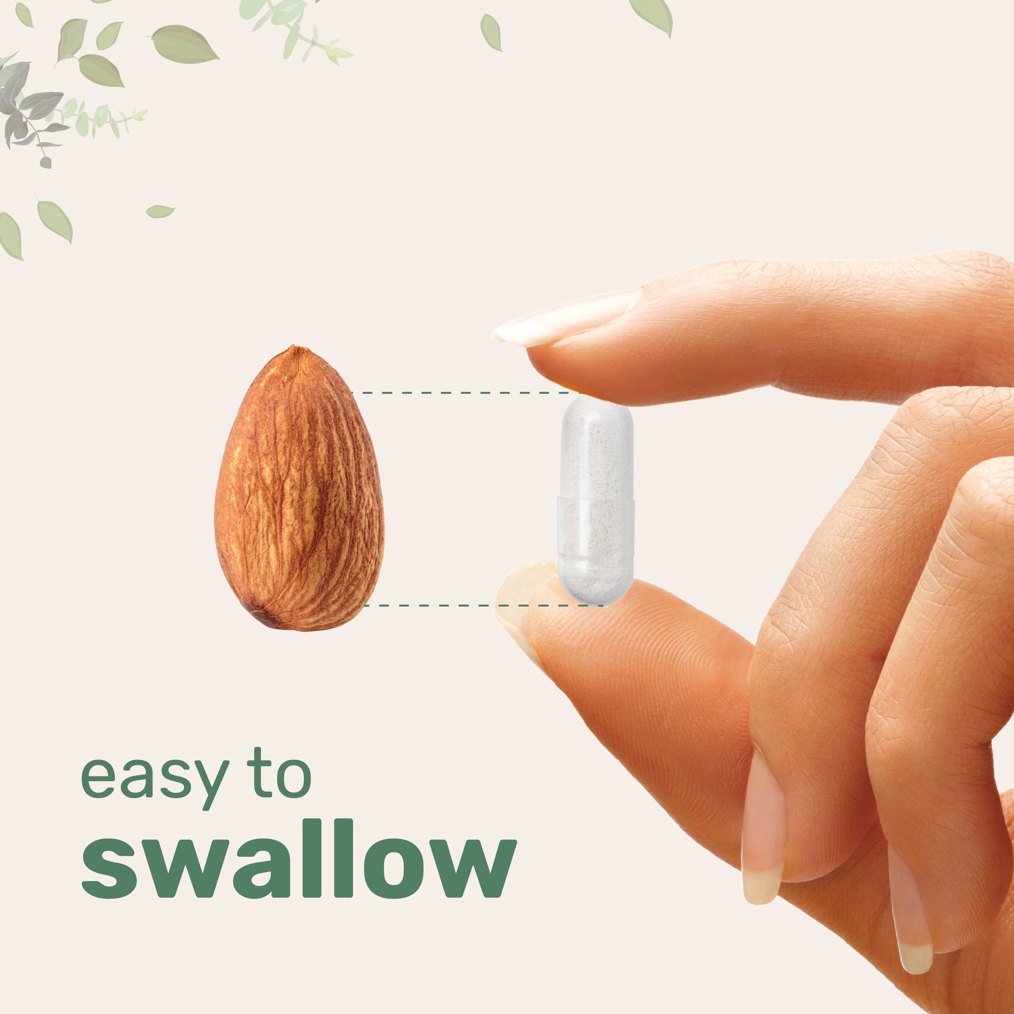 Micro Ingredients Bariatric Multivitamin with 45mg Iron, 240 Veggie Capsules