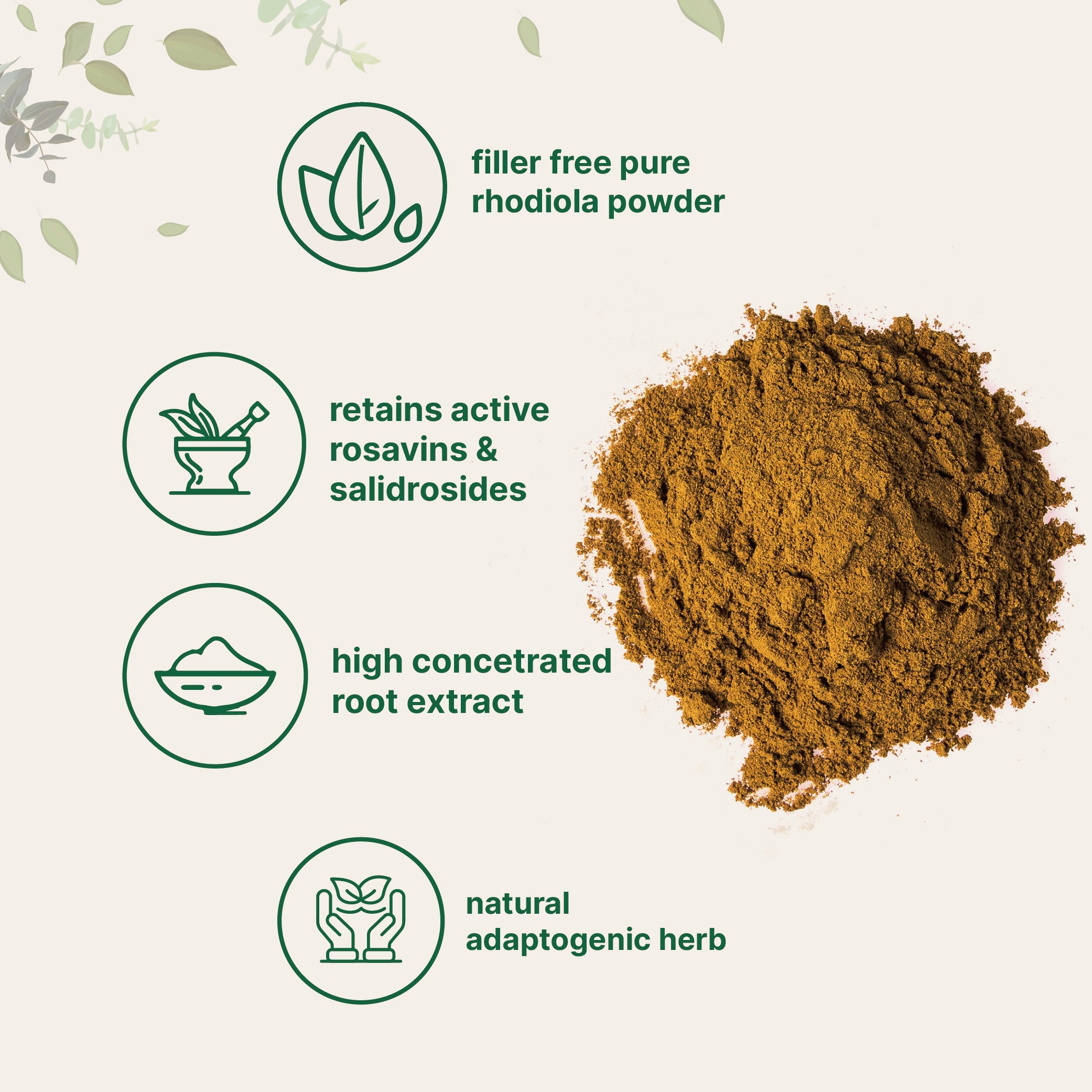 Micro Ingredients Rhodiola Rosea Powder, 50g