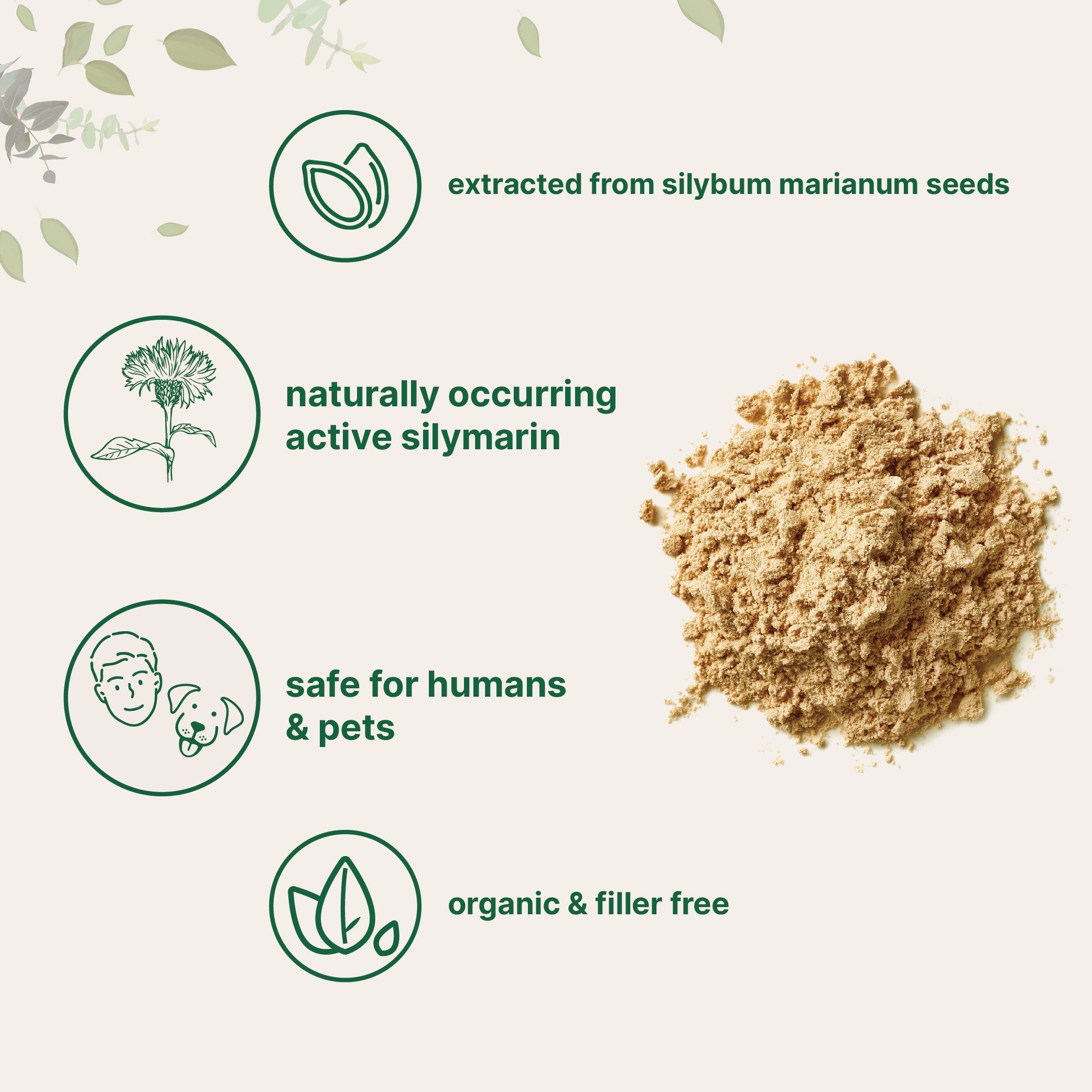 Micro Ingredients Organic Milk Thistle Powder