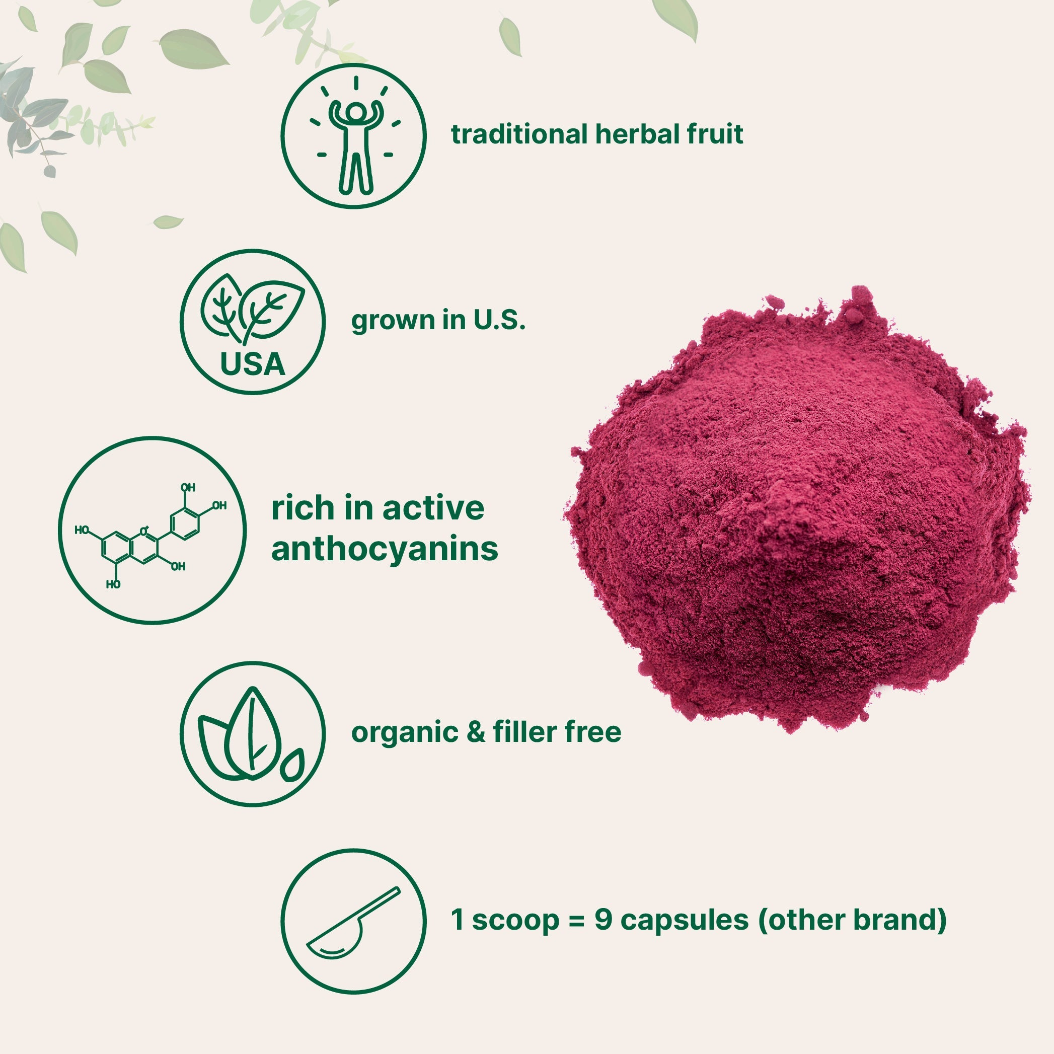 Micro Ingredients Organic Tart Cherry Powder - 4 oz