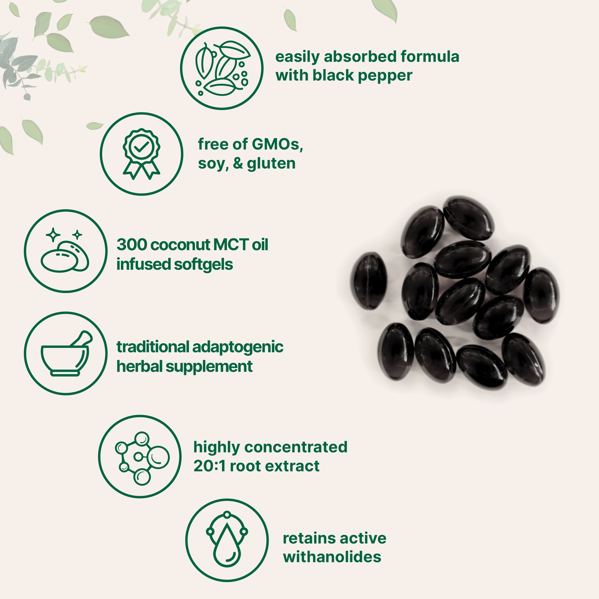 Micro Ingredients Ashwagandha Supplements 6,000mg Per Serving