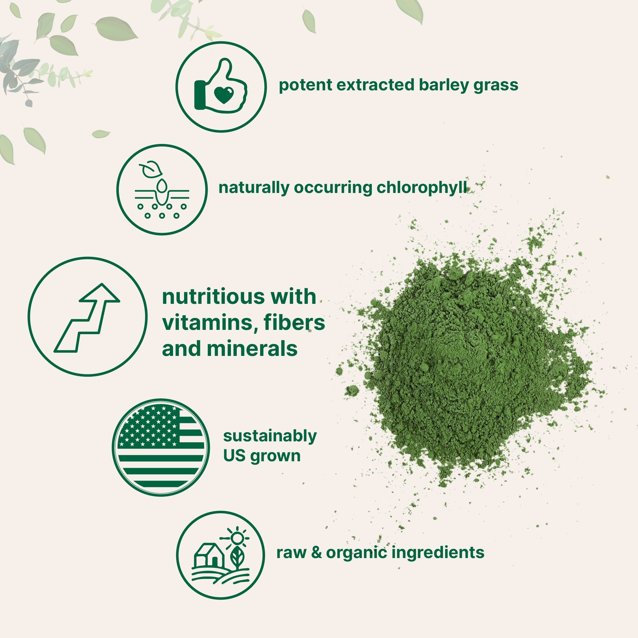 Micro Ingredients Organic Barley Grass Powder, 16oz