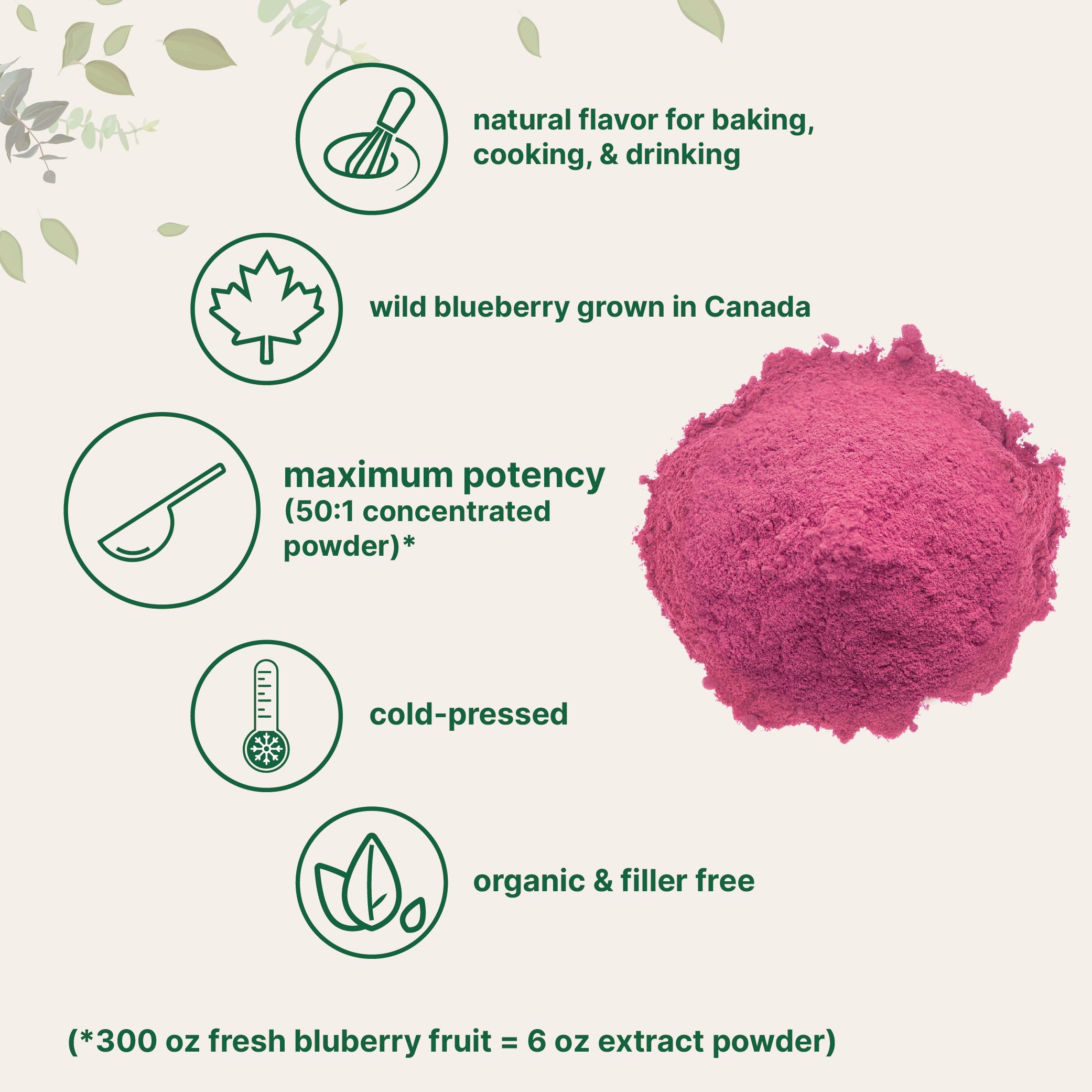 Micro Ingredients Organic Blueberry Extract Powder, 10oz