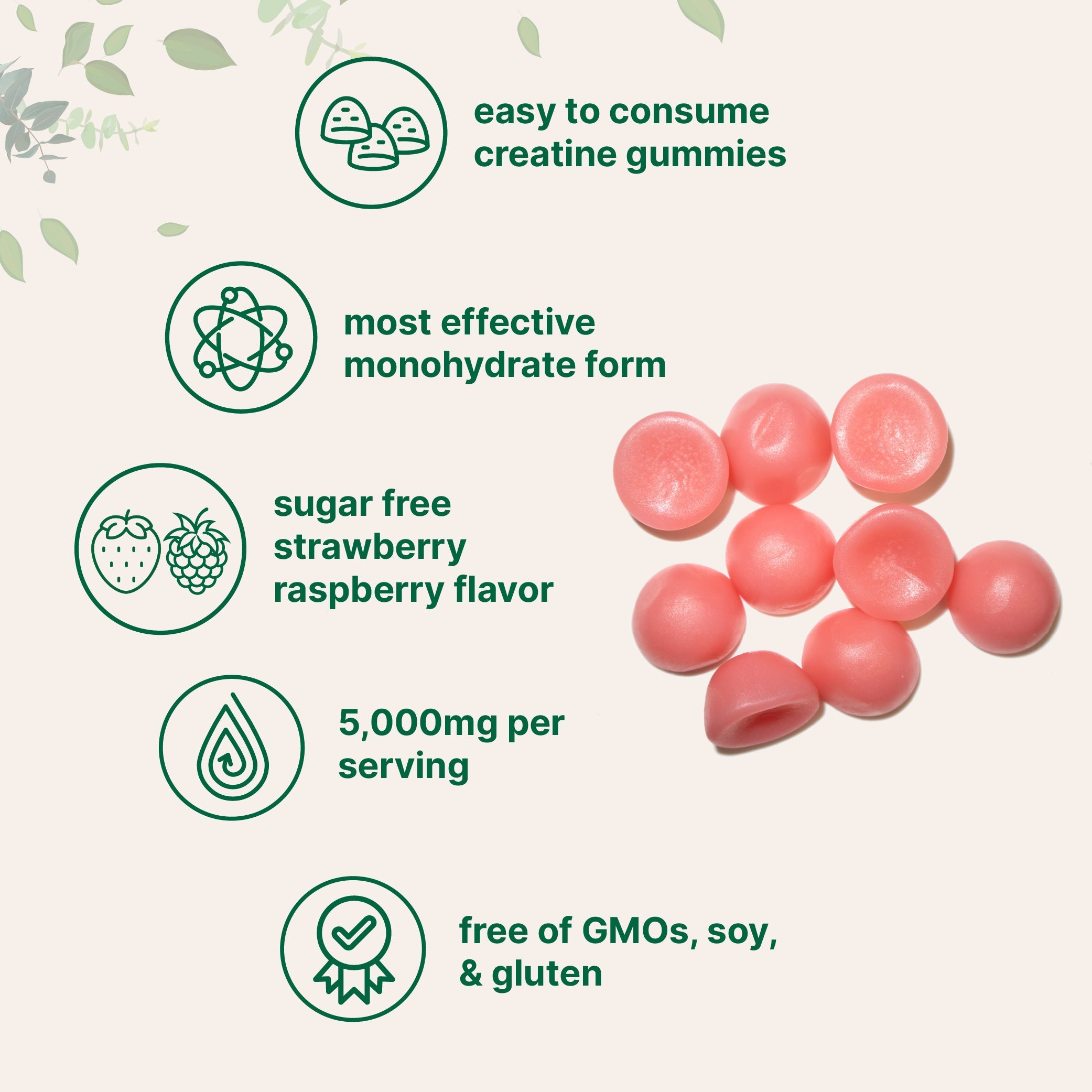 Creatine Monohydrate Gummies 5,000mg Per Serving, 120 Count