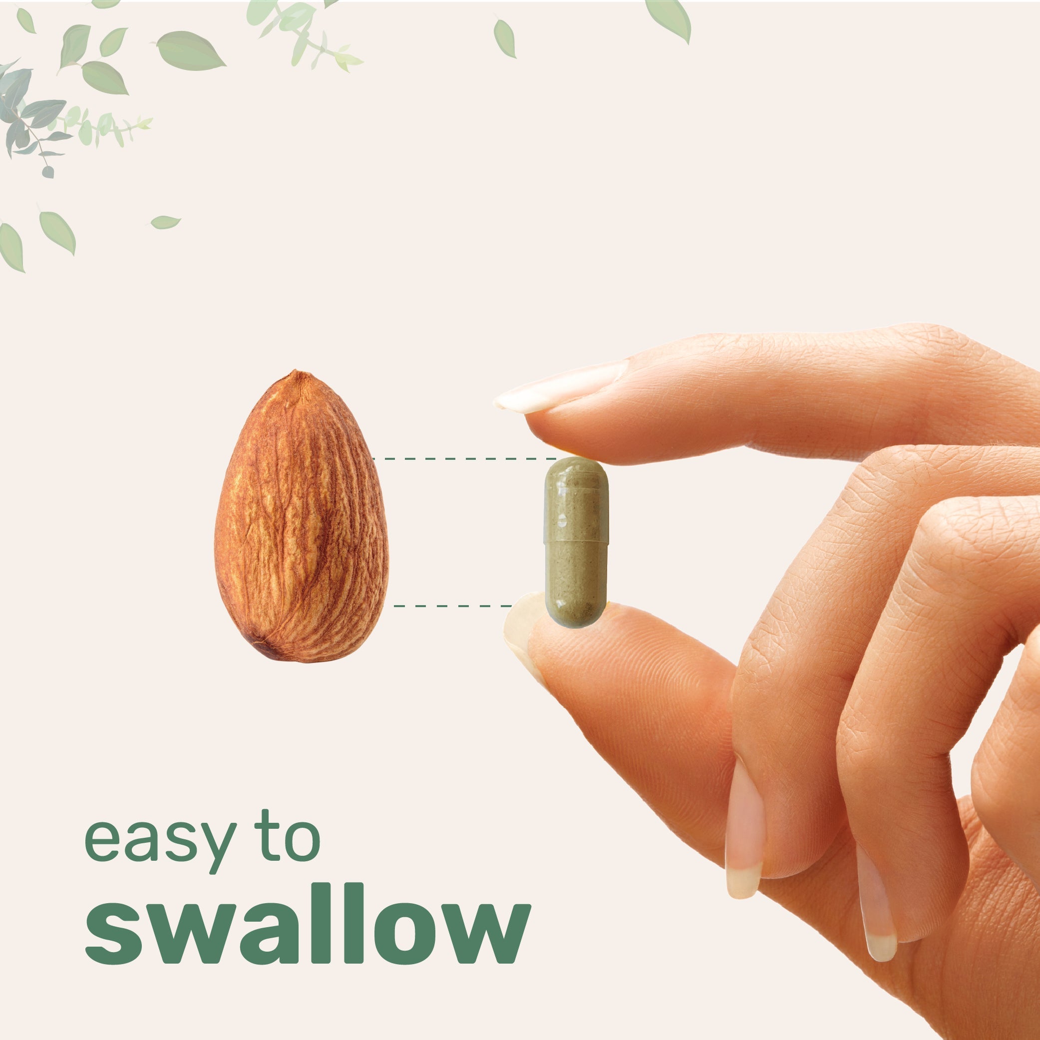 Micro Ingredients Resveratrol Supplement 3,000mg, 240 Veggie Capsules