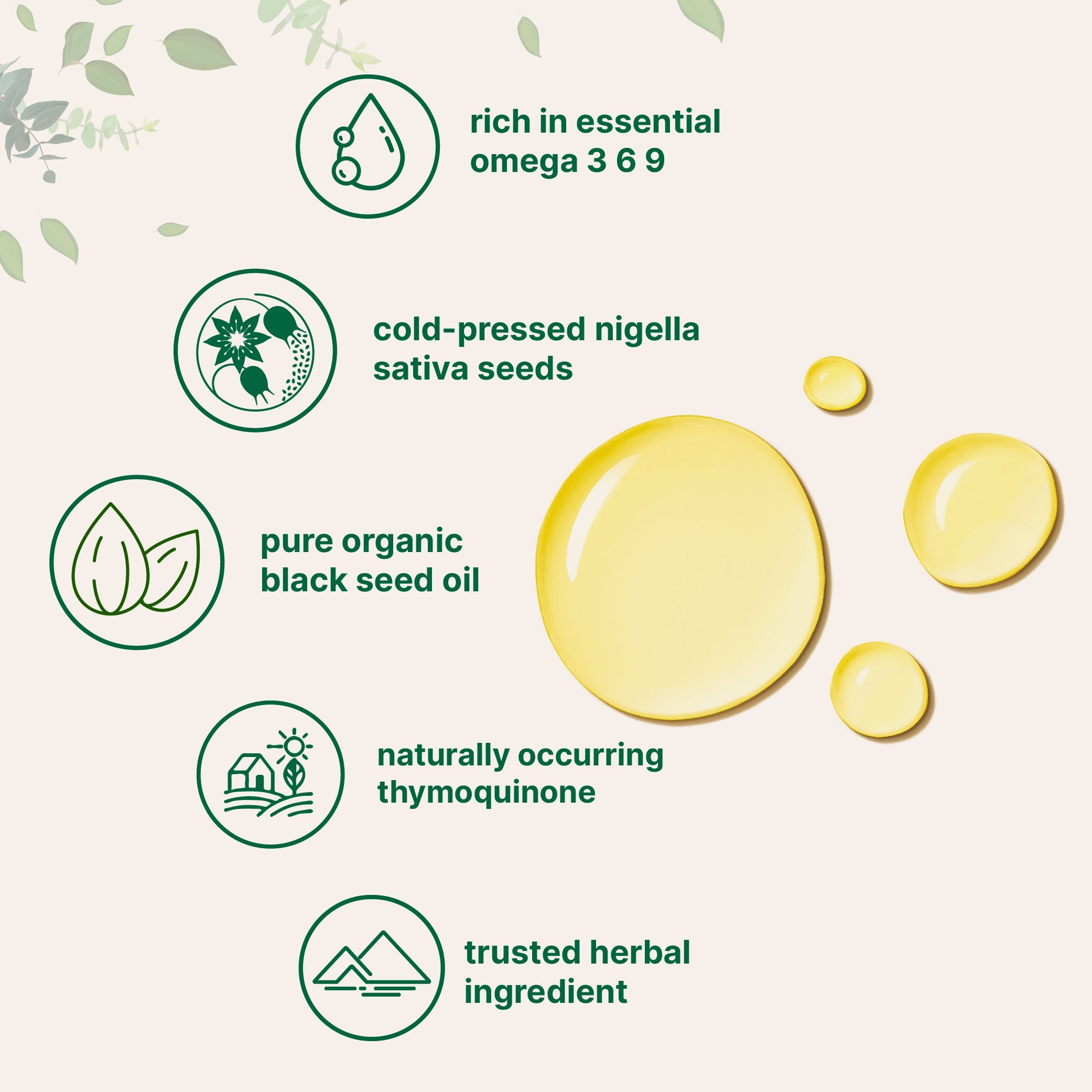 Micro Ingredients Organic Black Seed Oil, 16 fl oz | Cold Pressed Black Cumin Seeds from Nigella Sativa