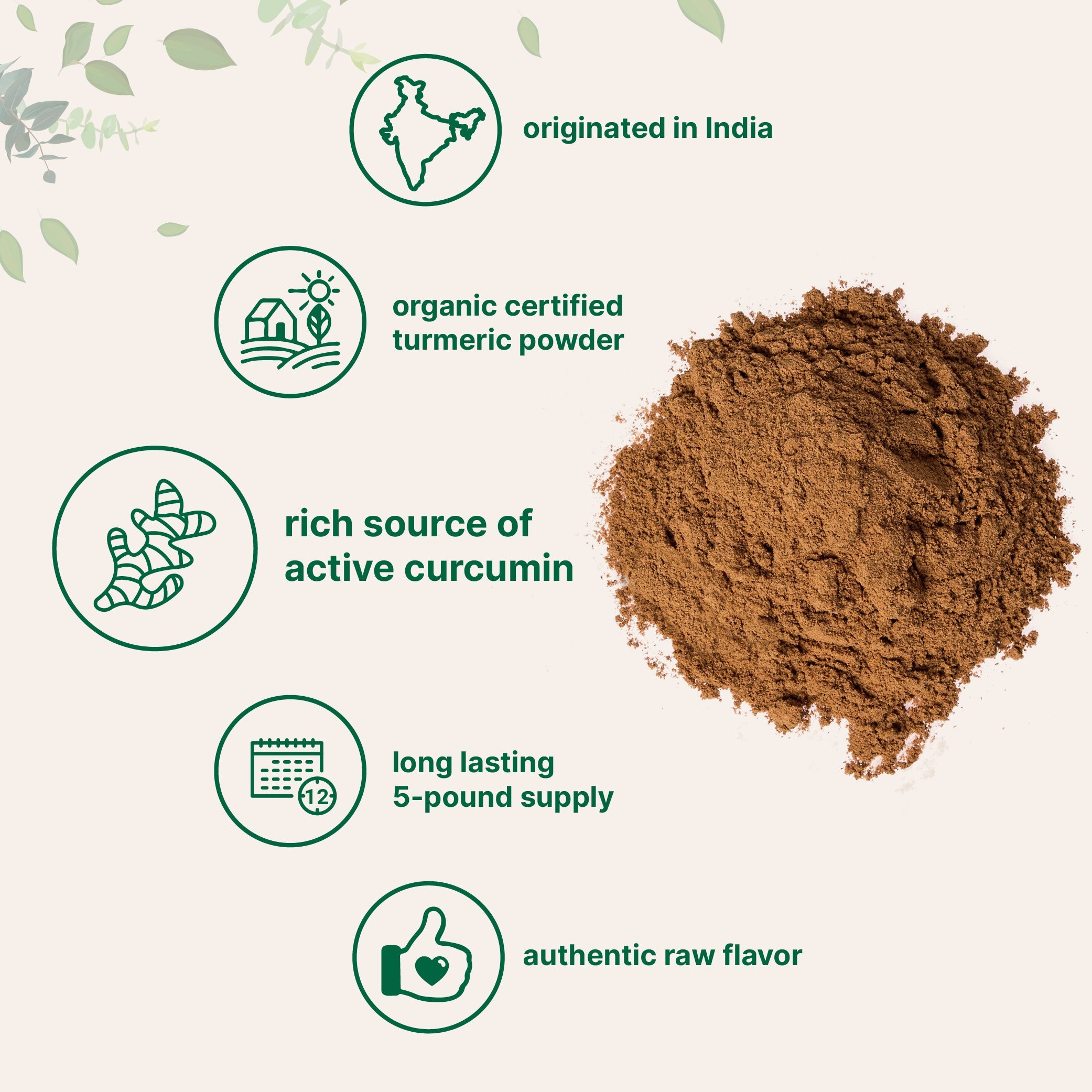 Micro Ingredients Organic Turmeric Powder, 5 Pounds